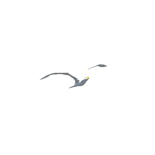 Low Poly Seagull